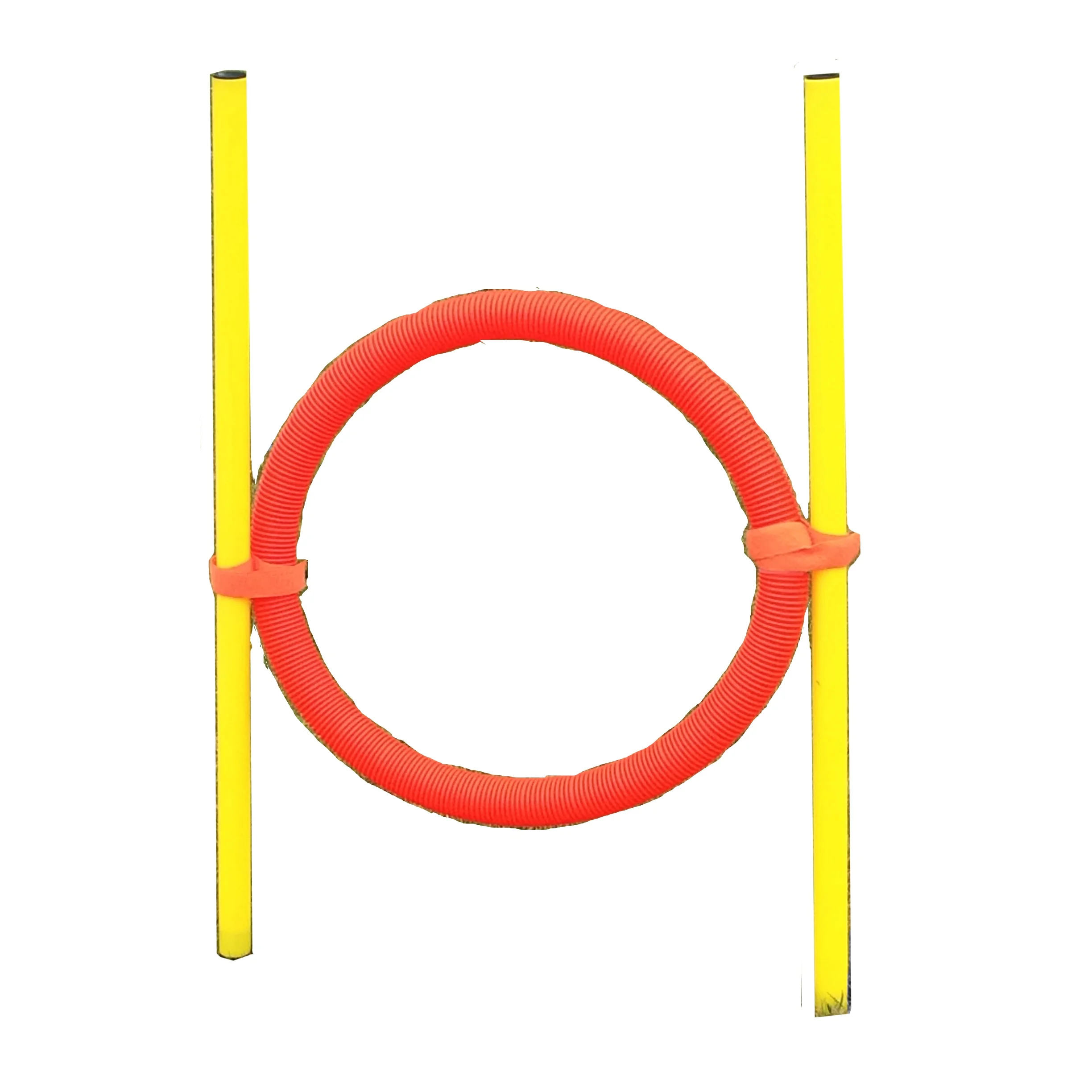 PET TRAINING AGILITY HOOP.jpg
