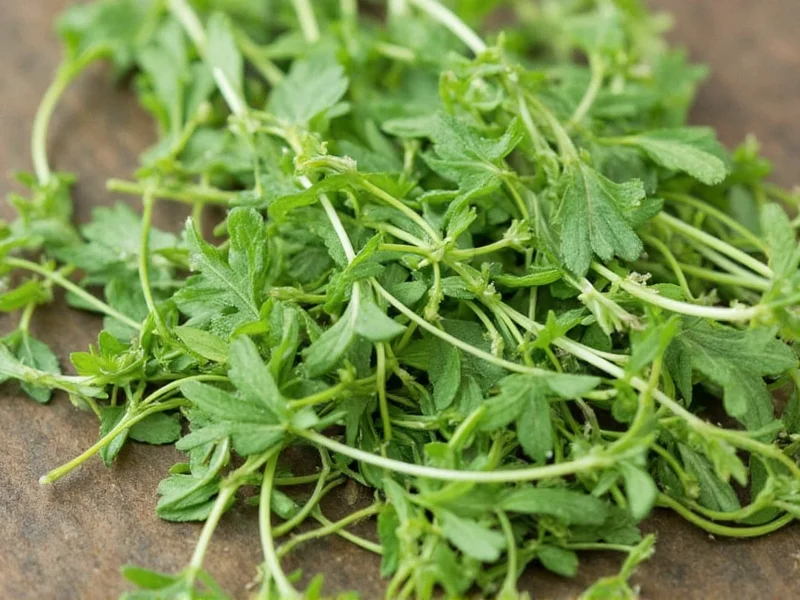 Oregano vs Mexican Oregano: Key Differences Explained