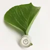 Aohong AH-2009 mini High quality universal round bubble spirit level bubble vial