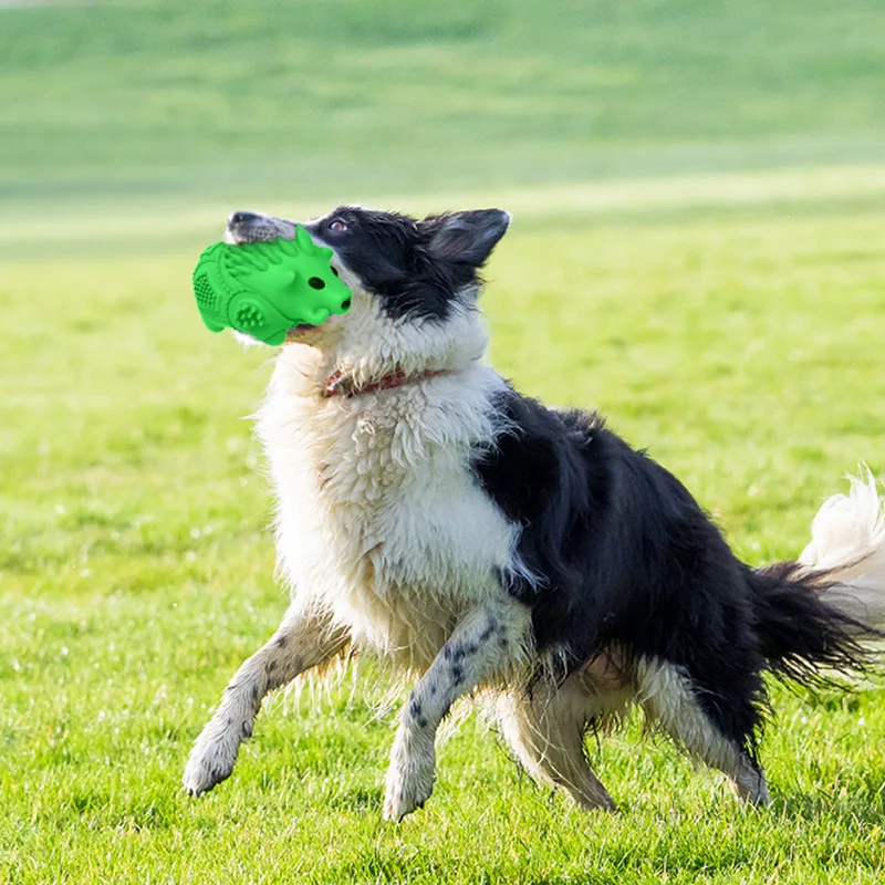 

Dog pet dog chew toys tooth cleaning toys for small large Dogs cute pet toys