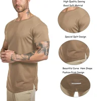 

Wholesale Plain 95 Cotton 5 Spandex Muscle Fit Sports T Shirts Mens Fashion Custom Logo Blank Gym T Shirt Men For Printing Label