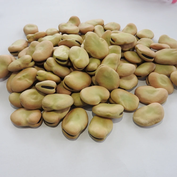 
Hot Sale Horse Bean Bean Babas Wholesale 
