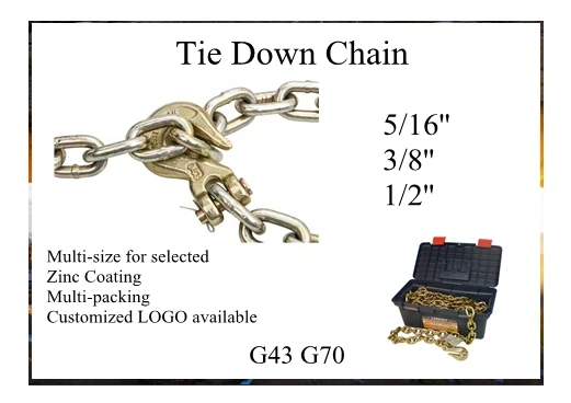 lashing chain 2_.jpg