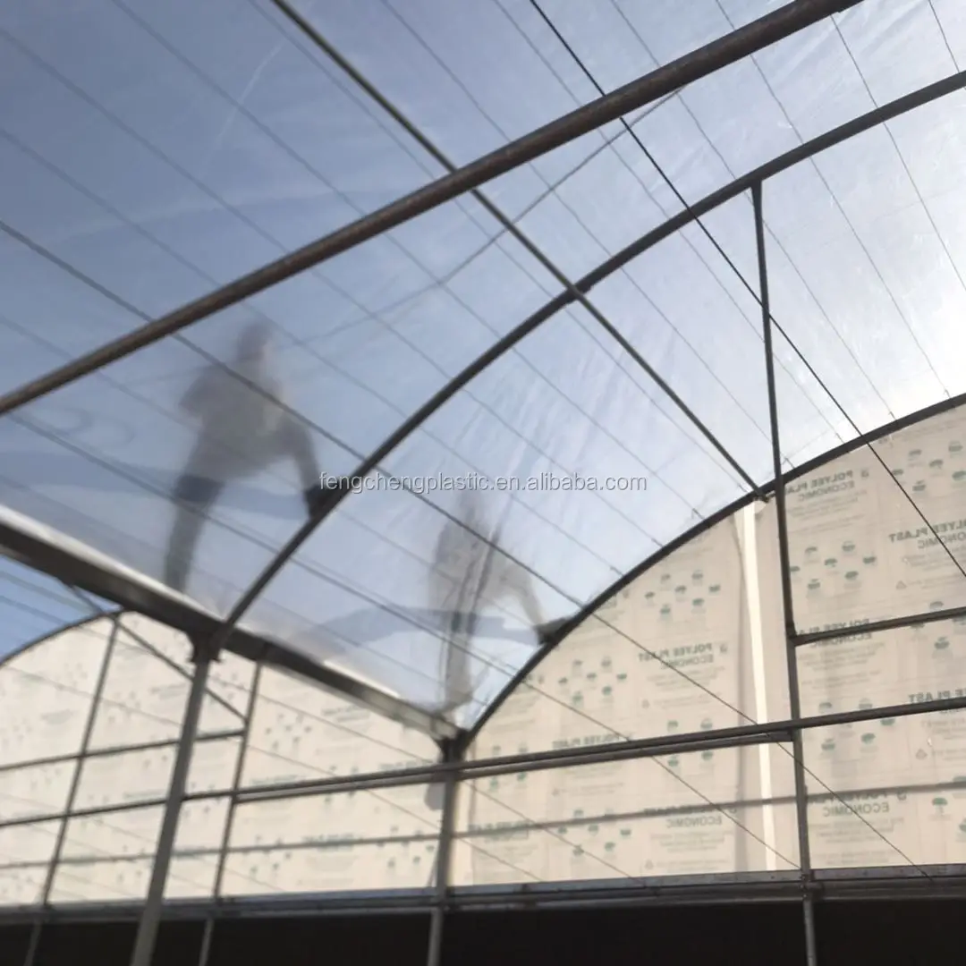 Uv Stabilized Agricultural Greenhouse Polyethylene Strong Polyweave