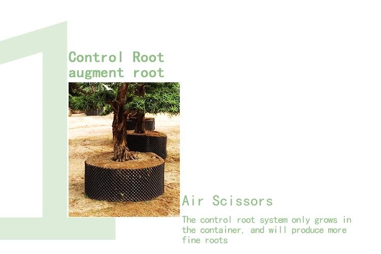 Root controller X8.jpg