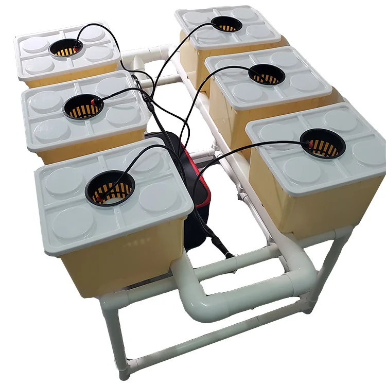 Complete Garden Hydroponic Tomato Dutch Bucket Grow system