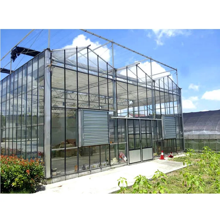 glass greenhouse11