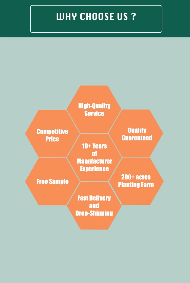 Organic Turkey Tail Mushroom Extract &  Krestin Extract Powder 30% Beta Glucan