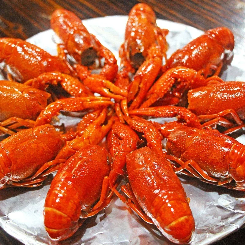 
High Grade Cooked Lobster Crayfish Available at Low Market Price  (1600054753998)