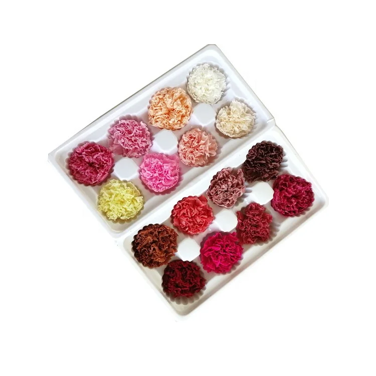 

4-5 cm A-Grade Decorative Carnations Flowers Preserved Carnation Head for Home Decor