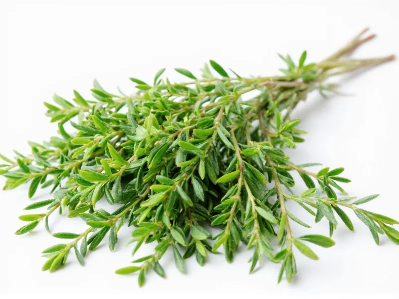 Best Thyme Substitutes: Practical Cooking Alternatives