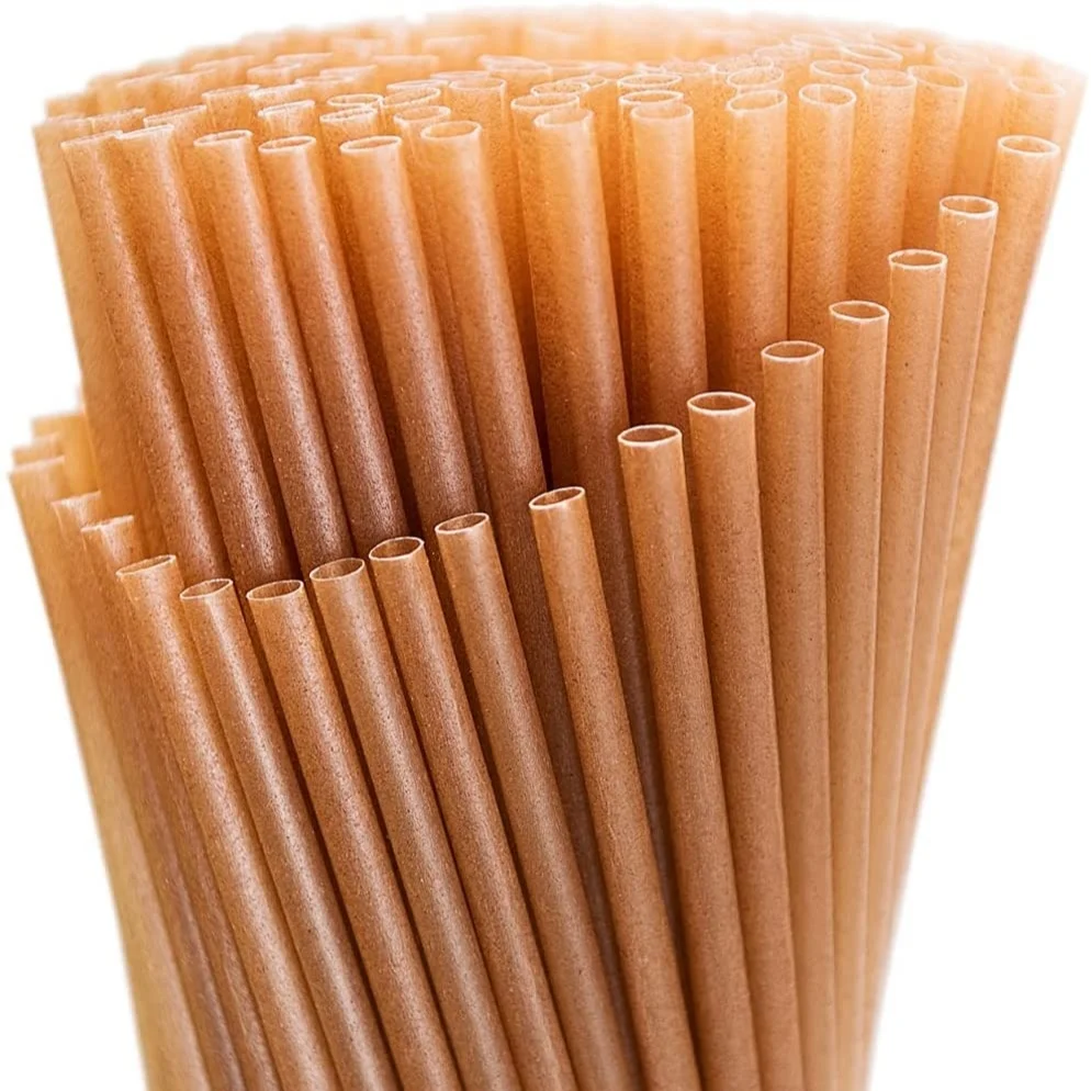 

Fashion Ecological Sugarcane Straws Sugarcane Bagasse Straws, Natural color