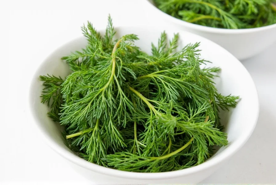 Dill plant in garden