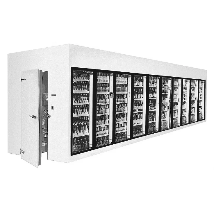 Freezer Glass Door With Shelving For Walk In Cooler/Cold Room/Display Refrigerator Door