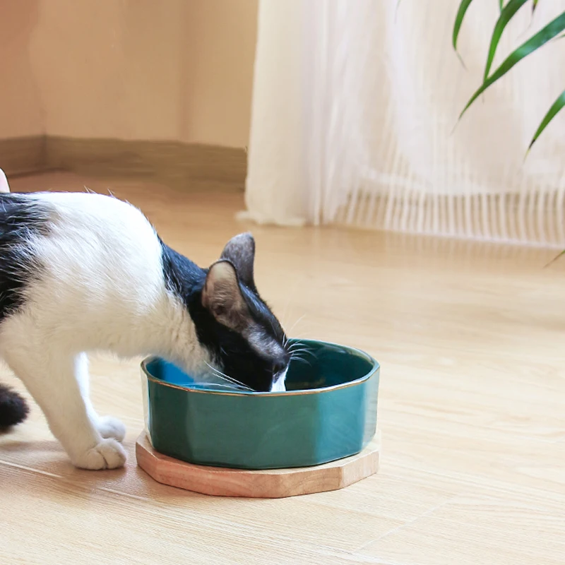 

Wholesale Double Ceramic Cat Bowl For Dogs And Cats Water Bowls Pet Food Feeder