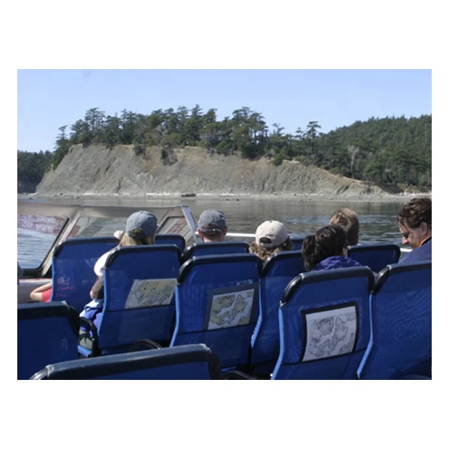 
30PAX Passenger Ferry for Tour Aluminum Catamaran for Whale Watching Water Bus Island Cruising 