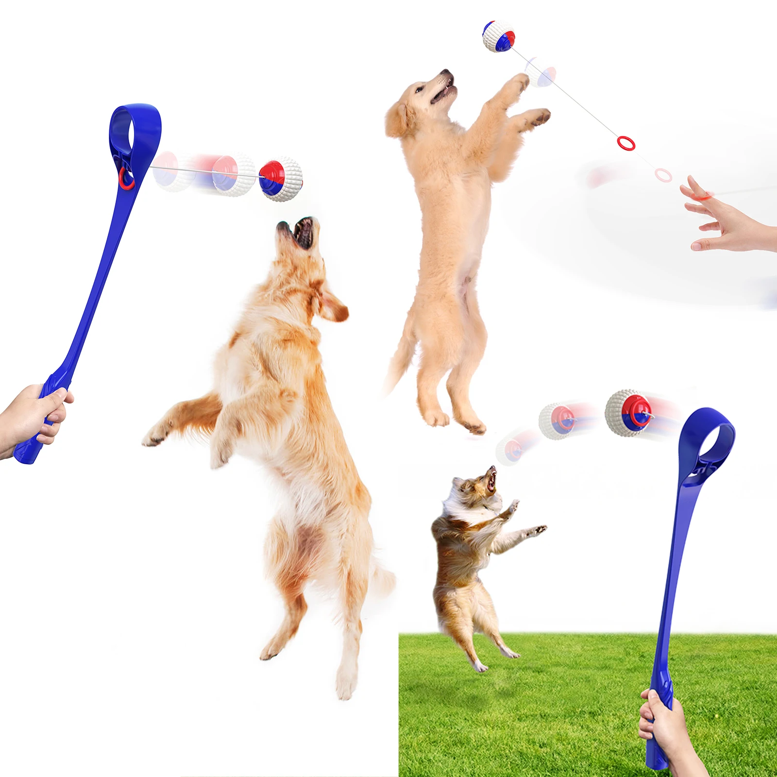 

Interaction Dogs Walking Toy Dog Throwing Interactive Toys Cue Stick Outdoor Throwing Ball, As the picture shows