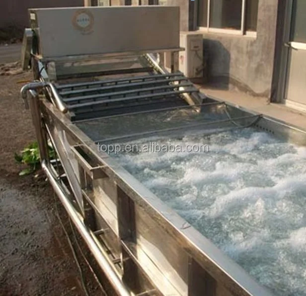 Spray air bubble rotary orange fruit washing machine for chili