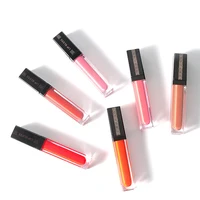 

Customize Adoring Natural Charming Moisturized Fashion Sexy Colors Lip Gloss Lipgloss Vendor