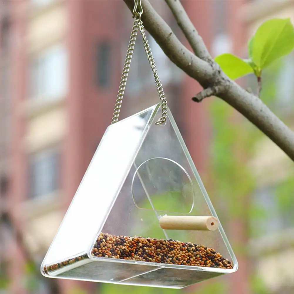 bird feeder (13).jpg