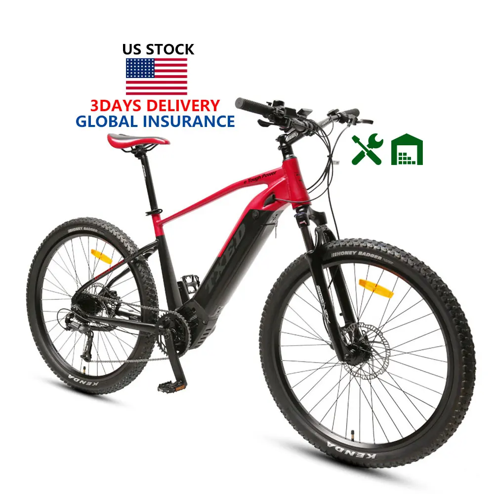 

outdoor riding electric bicycle mid motor mountain electric bike ebike with good price