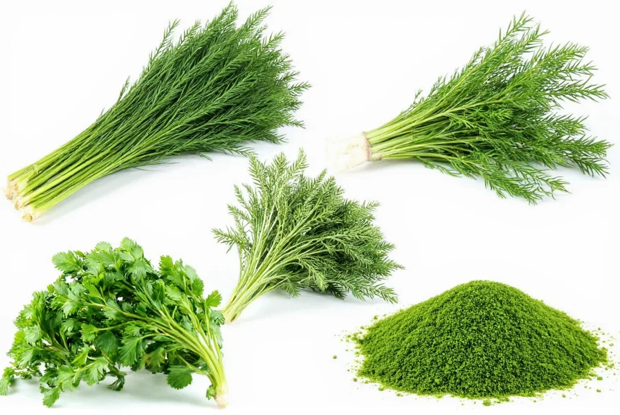 Fennel Fronds