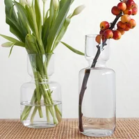 

Wholesale Nordic Minimalist Hydroponic Decorative Blown For Flower Arrangements Transparent Clear Glass Vase