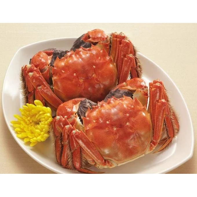 
Chinese Mitten-Handed Crab(703) 