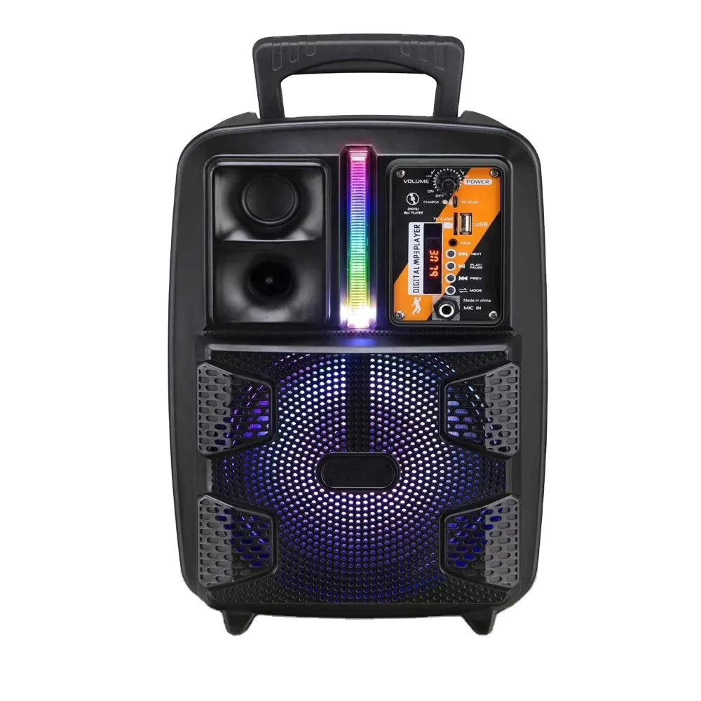 

8 Inch Portable Style Active Speaker LED Wireless Amplifier DJ Speaker Box With Microphone