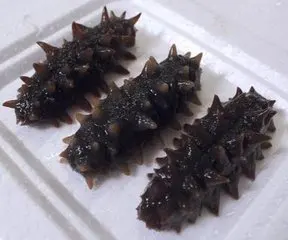 
Dried and Frozen Sea Cucumbers Cleaned 