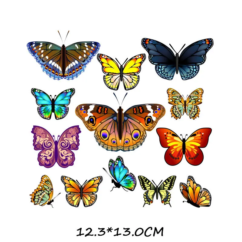 12392955779_124476607.jpg