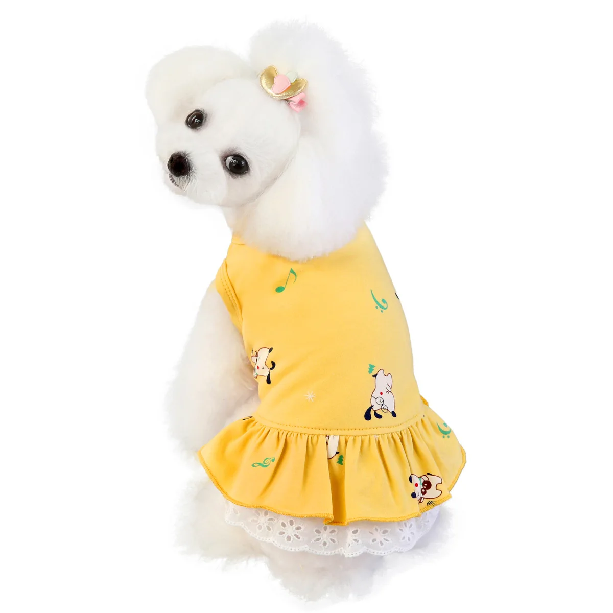 

Custom Wholesale Summer Pet Apparel Dog Print Lace Skirt Dog Dress Clothes