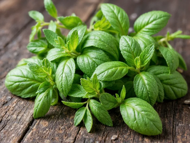 Mixed Herb Guide: Types, Uses & Benefits Explained
