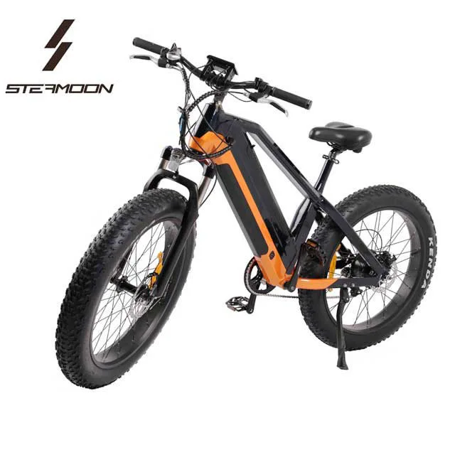 

1000W 2000W 3000W fat tire mountain electric bike/ e bicycle