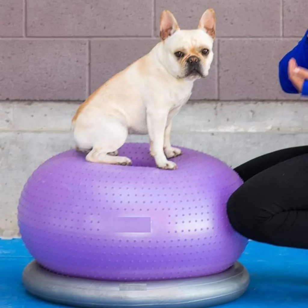 

Balance Disc Cushion Dog Balance Training Platform Strength Endurance Conditioning Fitness Pet Rehabilitation Center Accessories