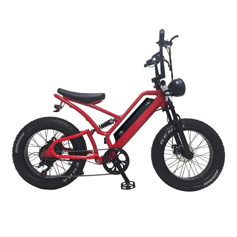 

2022 Factory direct sales new model 48V350W-750W custom fat tire electric ATV electric snow bike