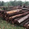 Materials and Supplies indonesian wood Acacia/Ebony &Other wood customized
