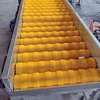 High speed vegetable and fruit washer/lemon processing machine