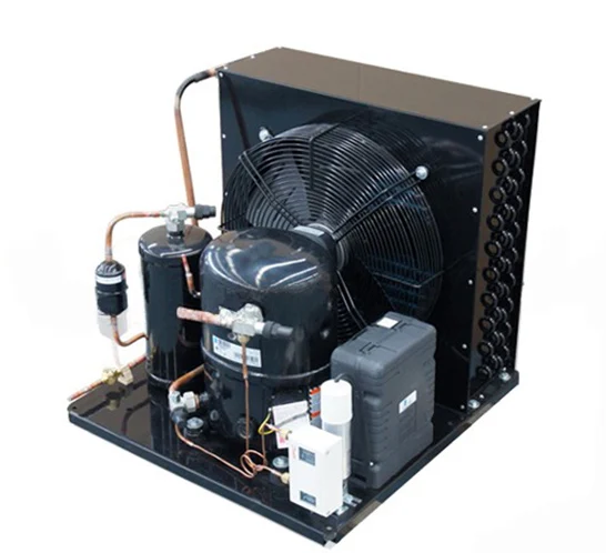 Indoor 2.75 Hp Low Temp R404a,220v/1ph Condensing Unit - Buy 3 Hp ...