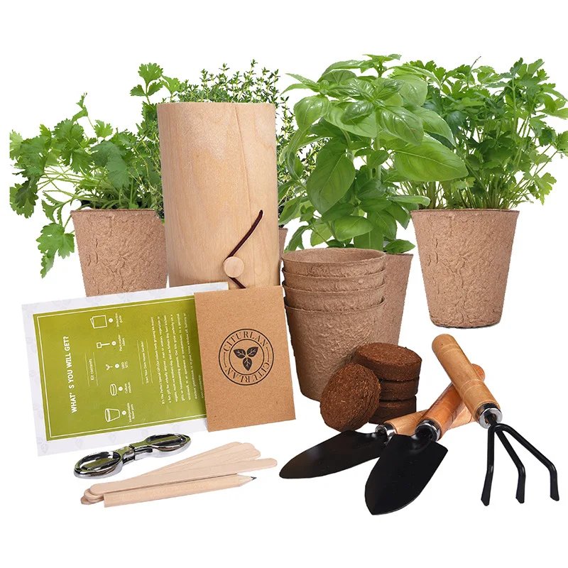

Factory Wholesale Amazon Flower Planting Pulp Kit Gardening Vegetable Fruit Plant Growing Degradable Pulp Cup Kit