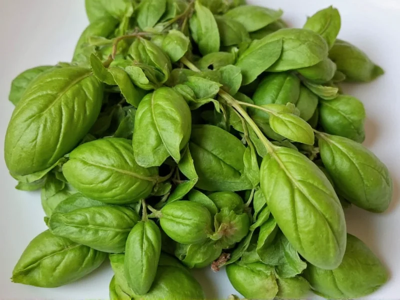 Dried Basil Cost: Current Prices & Smart Buying Guide