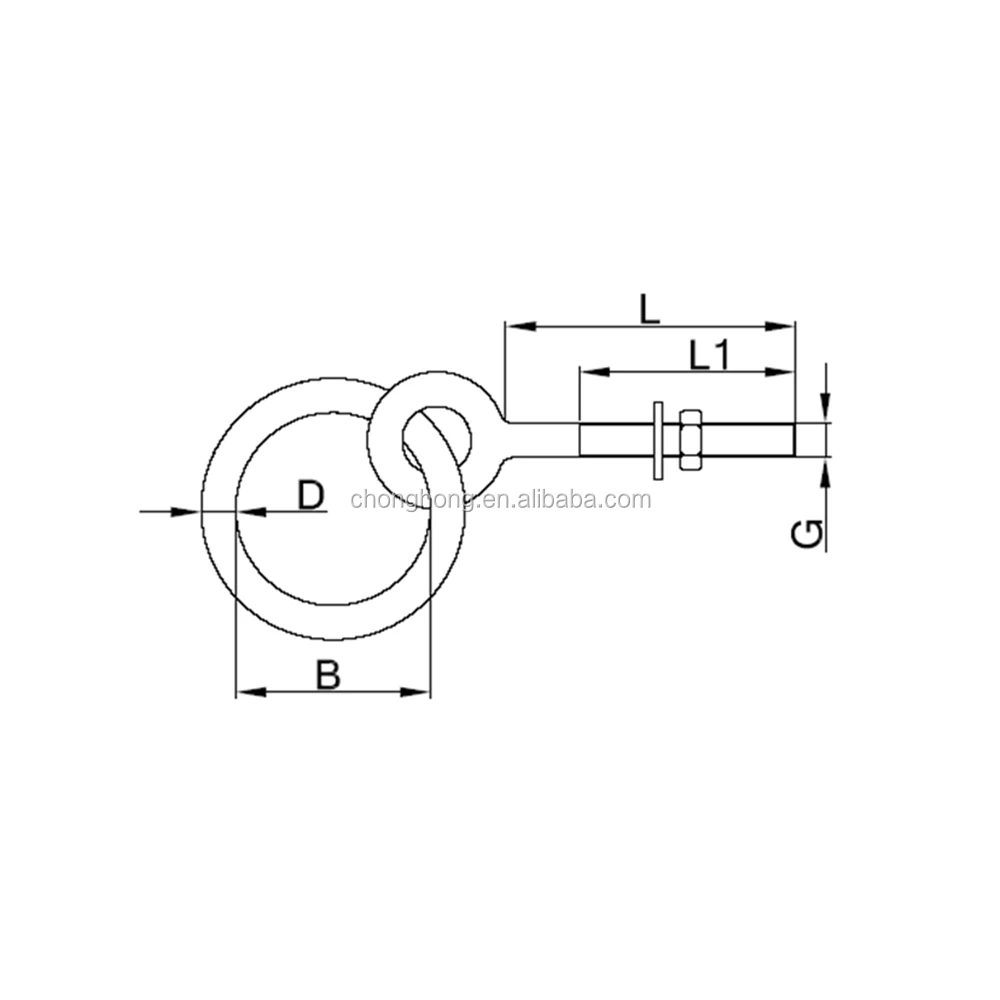 Eye Ring Bolt (21)
