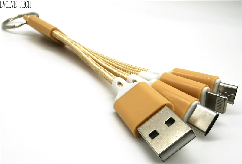13-C.jpg