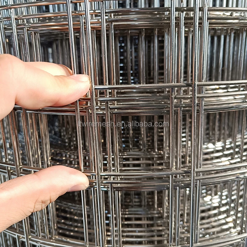 Anping Longteng Cheap Price Inch Stainless Steel Welded Wire Mesh Ss Welded Wire Mesh