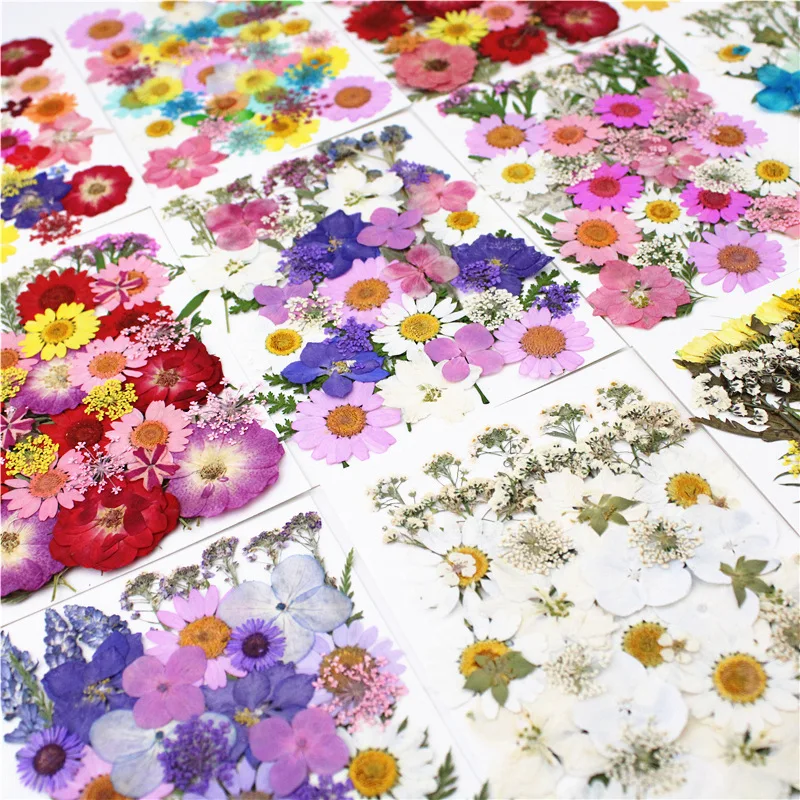 

R385 Hot Sale Mixed Pressed Flowers Bag For Nail Diy Material Pack Natural Dried Flowers Pressed