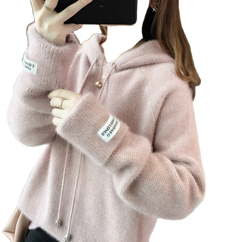

Korean Style Women Sweaters And Pullovers Spring Long Sleeve Streetwear Knitted Hooded Tops Solid Casual Sweaters