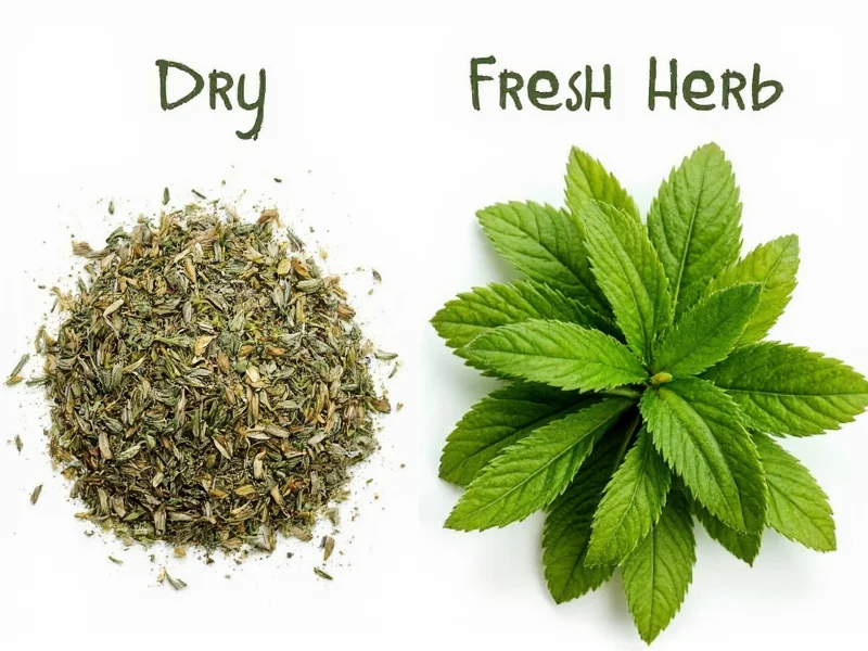 Dry vs Fresh Herb Measurements: The Complete Conversion Guide
