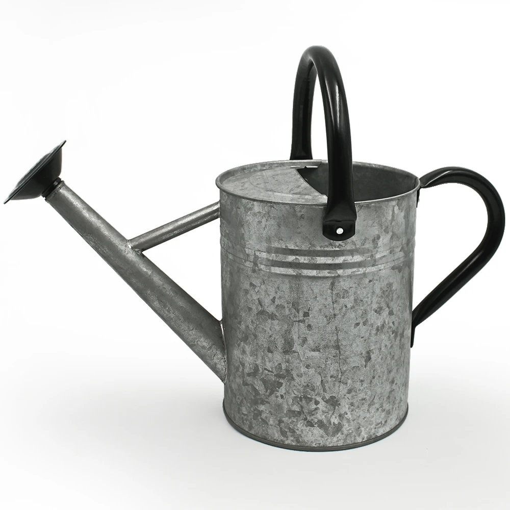

High quality 1 Gallon competitive price metal modern garden galvanized watering can