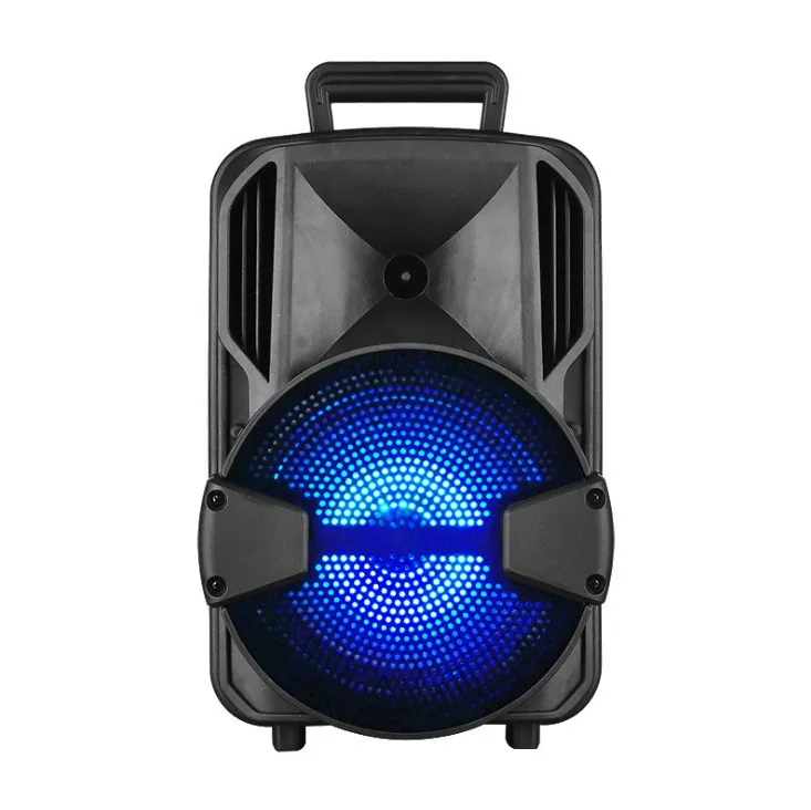 

Portable 8-inch Blue tooth Portable High-power Wireless Audio Wired Microphone Remote Control Speaker