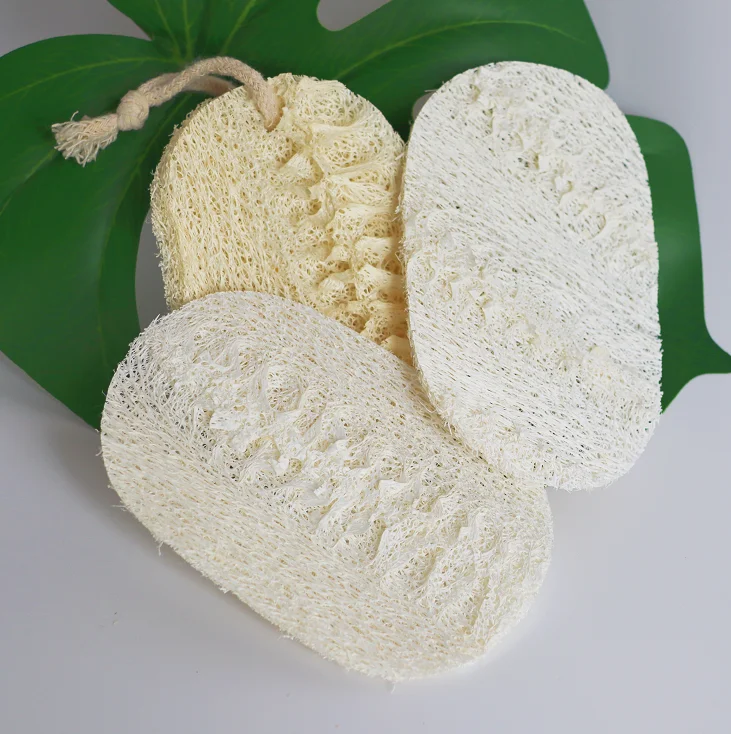 Wholesale Custom Natural Biodegradable Shower Bath Loofa Body Lufa Dish
